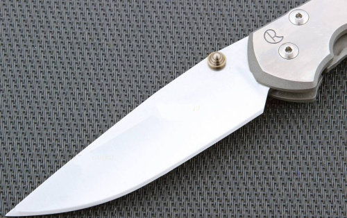 3810 Chris Reeve Large Sebenza 21 L21CGGUN See фото 5