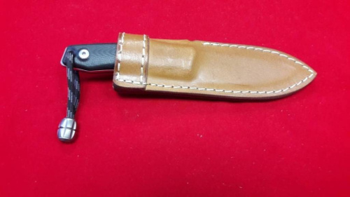3810 Lion Steel M1 GBK фото 10