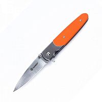 Нож складной Ganzo G743-1